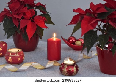 Red poinsettias, candles burning in red candlesticks.  Christmas decor. - Powered by Shutterstock