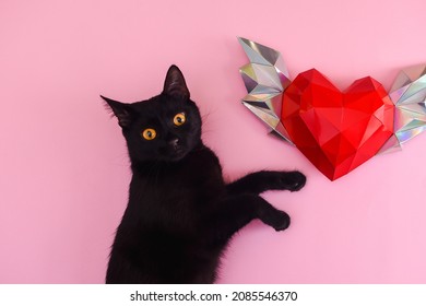 Red Polygonal Paper Heart With Wings. A Black Cat On A Pink Background. Congratulations On Valentine's Day And March 8. Top View.