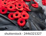 Red poppies on Tomb Of The Unknown Soldier in Ottawa, Canada on Remembrance Day