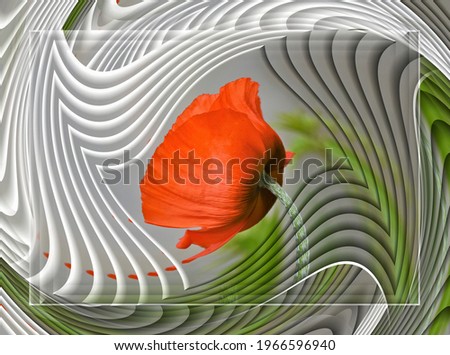 Similar – Image, Stock Photo be orange Flower Blossom