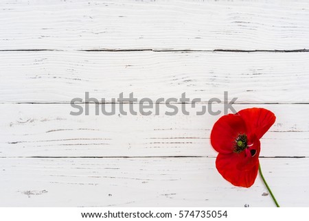 Red poppy flower on white wood table background with copy space.