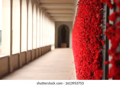 Red poppy flowers by the war memorial