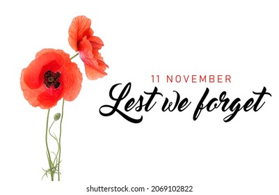 Red Poppy Flowers On White Background. Remembrance Day In Canada