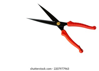 Red Pruning Shears Isolated On A White Background