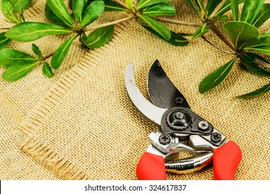 Red Pruning Shears With Leaves