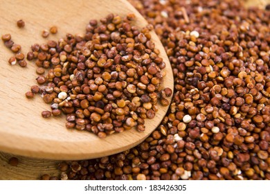 Red Quinoa Grain