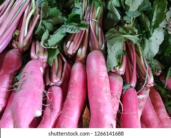 Red Raddish Vegetables