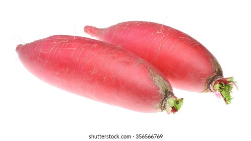 Red Radish