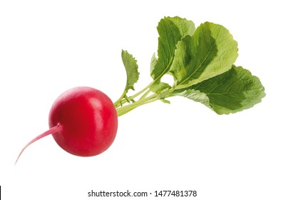 Red Radish With Leaves, Isolated