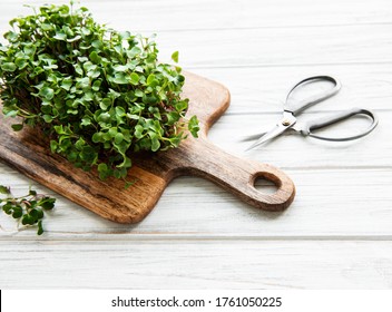 Red radish microgreens on a wooden cutting board, healthy concept
