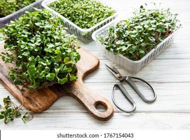 Red radish microgreens on a wooden cutting board, healthy concept