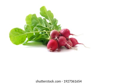 Red radishes isolated on white background                                - Powered by Shutterstock