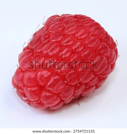 Red raspberry fruit with their characteristic knobbly surface. The plant that produces them belongs to the genus Ruber. A delicious summer time fruit.