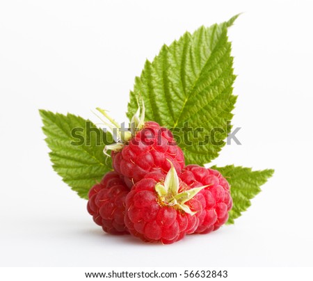 Red raspberry with green leaves