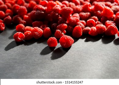 Red raspberry on black background. Play of sunlights and shadows