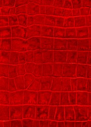 Red Reptile Leather Imitation Texture To Background