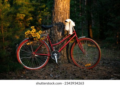 Red retro bicycle with beige shawl bow on the handlebar and yellow flowers clamped to the back child's seat. Bike is leaned to the pine tree trunk in forest. Red tires and silver shields on wheels - Powered by Shutterstock