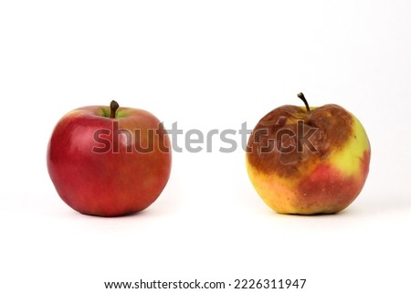 Red ripe apple and rotten spoiled side by side, white background, isolated apples