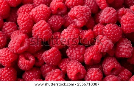 Red ripe raspberries as a background. Close-up.