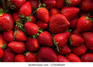 Red ripe strawberries background. Close up, top view. - Shutterstock ID 1725200269