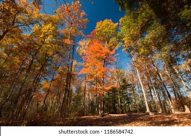 Red River Gorge, Kentucky In The Fall.