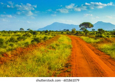 Red Roads - Safari In Kenya