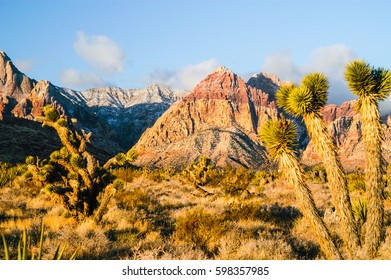 Red Rock Canyon, Las Vegas, NV