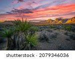 Red Rock Canyon National Conservation Area in Clark County, Nevada,muntains,dramic sky,muntains,cactus,orange,dramatic,sunset,sunrise,plats,scenic
