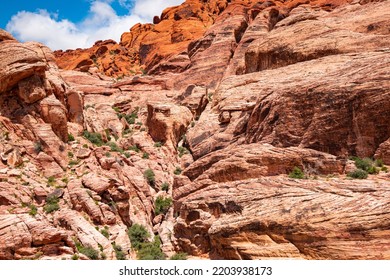 Red Rock Canyon National Conservation Area