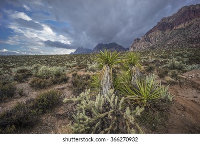  Red Rock Canyon National Conservation Area 