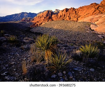 Red Rock Canyon, Nevada