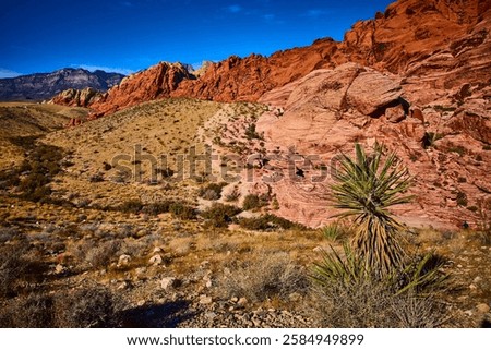 Similar – Image, Stock Photo Aerial perspective of textured desert terrain with intricate erosion patterns and trails in Utah, exhibiting a blend of golden and grey hues