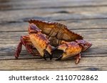 Red Rock Crab caught in Belcarra Regional Park, Port Moody, BC Canada