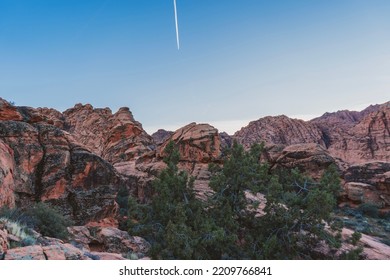 Red Rock Desert Cactus Hike