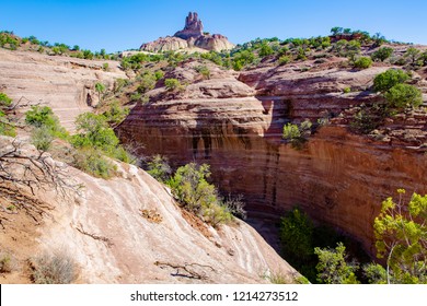 Red Rock Park near Gallup in New Mexico, USA