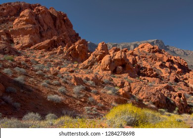 Red Rock, Sagebrush, Rabbitbush, East Entrance, Valley Of Fire State Park, Overton, Nevada, USA