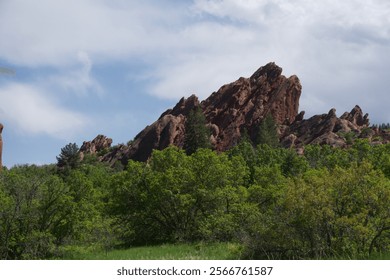 Red Rock Structure in Trees