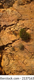 A Red Rock Wall With Fissures And Cracks