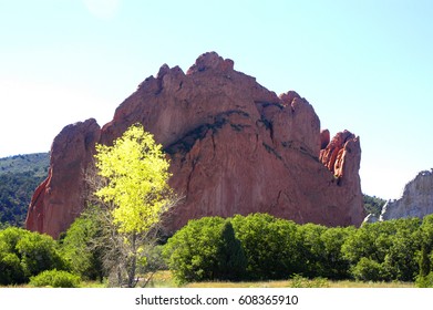THE RED ROCKS