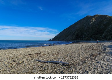 Red Rocks Beach In Owhiro, Wellington