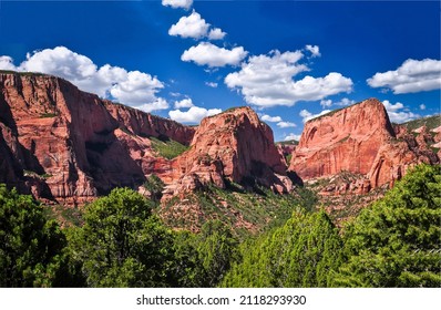 Red rocks in canyon forest. Red rocks in canyon. Canyon rocks. Red rock canyon landscape
