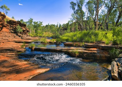 Red rocks, a clear stream with a cascade, and lush green vegetation in the Kalamina Gorge, Karijini National Park, an oasis in the dry outback of Western Australia
 - Powered by Shutterstock