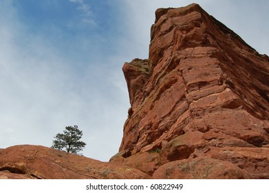 Red rocks with a lone pine tree
