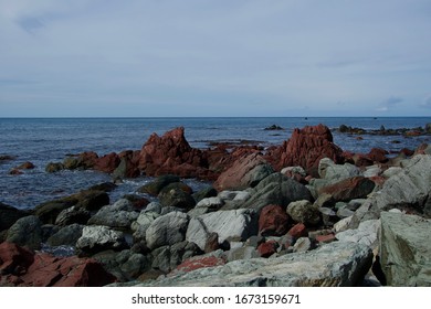 The Red Rocks Near Wellington