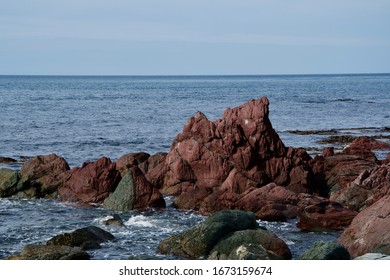 The Red Rocks Near Wellington