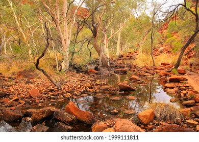 Red Rocks Of Watarrka National Park