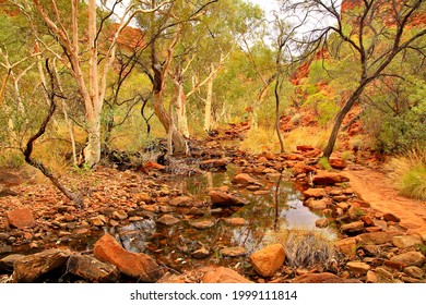 Red Rocks Of Watarrka National Park