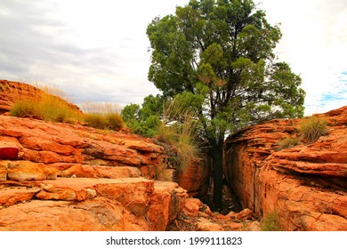 Red Rocks Of Watarrka National Park