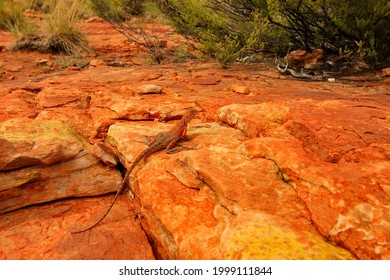 Red Rocks Of Watarrka National Park