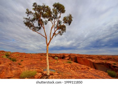 Red Rocks Of Watarrka National Park